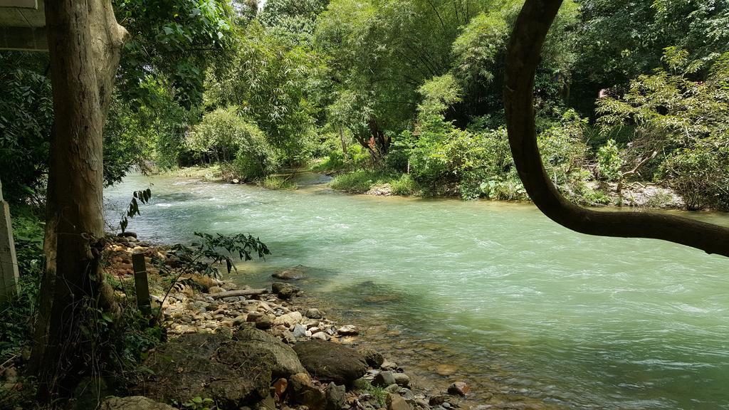 Khao Sok Jungle Huts Resort Khao Sok National Park Εξωτερικό φωτογραφία