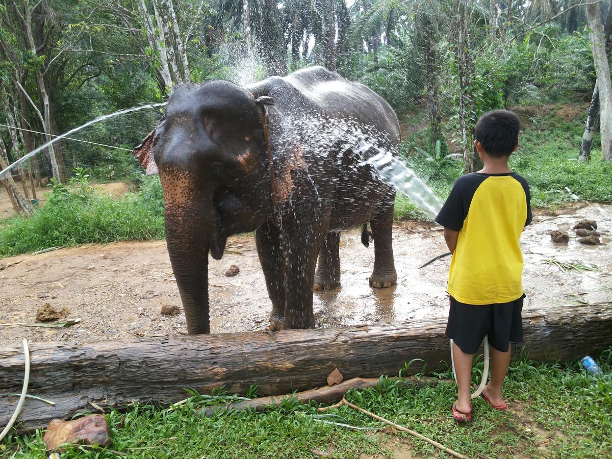 Khao Sok Jungle Huts Resort Khao Sok National Park Εξωτερικό φωτογραφία